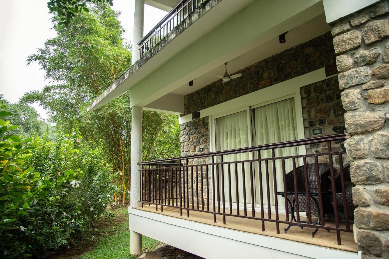 Misty Mountain Experience By Perfect Stays Pirmed Luaran gambar